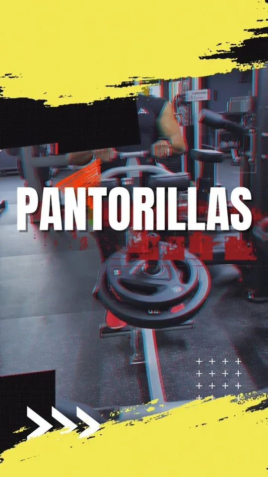 Marcos Feliz entrenando en 2022 — Elevación de pantorrilla sentado